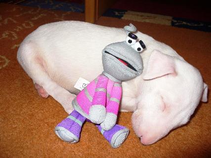 jazzowa_panna_słodkie sny