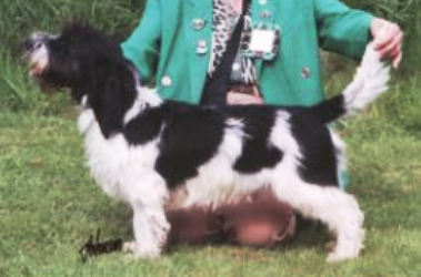 Debucher_Savoir_Fair