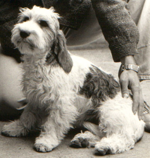 chouan_kentucky_woman